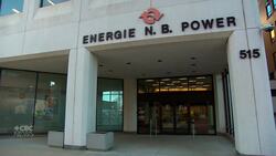 Woodpecker nests behind proposed power-plant site in Centre Village News Clip