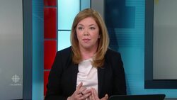 Chris Hadfield remembers David Bowie News Clip