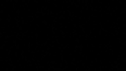 CLEAN : Jerusalem bishop condemns 'police invasion' at journalist's funeral News Clip