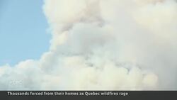 Quebec overwhelmed by more than 150 wildfires News Clip