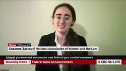 Government adds 324 models of assault-style firearms to prohibited list News Clip