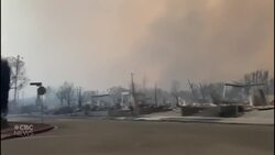 Business owner from Regina loses home in L.A. wildfire News Clip