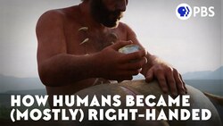 How Humans Became (Mostly) Right-Handed Instructional Video
