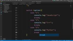 Switch...Case Instructional Video
