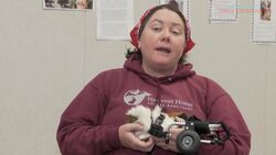 Rescued Guinea Pig Gets Second Chance With Love And A Wheelchair Instructional Video