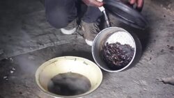 CLEAN : Zimbabwean beetle makes a seasonal snack News Clip