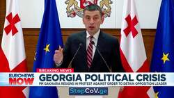 Georgia's prime minister Giorgi Gakharia resigns over detention of opposition leader News Clip