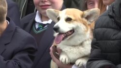 CLEAN : King Charles III visits Hillsborough Castle in Northern Ireland News Clip