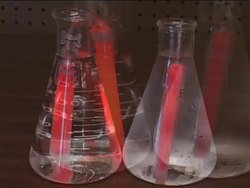 Reactions: Chemical Reaction Rates Instructional Video