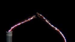 Understanding the Triangle of Fire Instructional Video