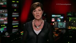 Fake news vs. real news (CBC News Network's The Investigators with Diana Swain) News Clip