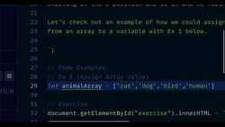 JavaScript Mastery from Zero to Hero - Prepare for Coding Interviews - Accessing Arrays with Bracket Notation - Example 1 Instructional Video