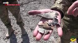 As Ukraine Faced Military Crisis in July, Trump Asked About Joe Biden News Clip