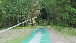 Going inside the forest trees in the adventure park Stock Footage