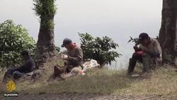 Colombia coffee farms face worst worker shortage in years News Clip