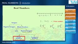 Real Numbers: Introduction Instructional Video