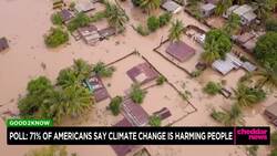 Poll: Most Americans Say Climate Change Harming People News Clip