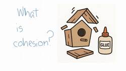 Creating Cohesion Instructional Video