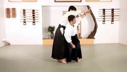 How to Do Koshi Nage in Aikido Instructional Video