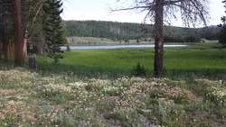 Matter and Energy in Ecosystems Instructional Video