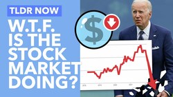 Why Did the Stock Market Just CRASH... hard - TLDR News Instructional Video
