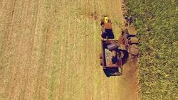 Sugar cane harvest. Aerial view of a 'canavial'. Stock Footage
