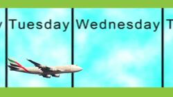 How to Buy Airline Tickets Instructional Video