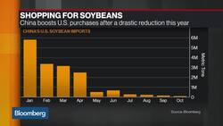 Rep. Marshall on Farm Bill, China Trade, Border Wall News Clip