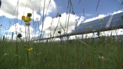 Solar panels at a solar farm News Clip