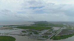 Iraqi marshlands to Munich beer halls: On the frontlines of climate change Instructional Video