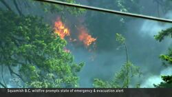 Emergency declared in Squamish, B.C., as wildfire burns near homes News Clip