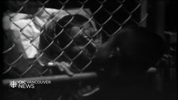 B.C. government makes official apology, compensation to children of wronged Doukhobours News Clip