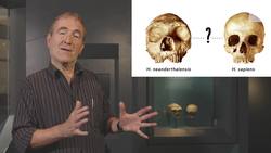 Masters of Science: the new human story Instructional Video