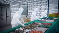 Mysterious virus spreads in central China Instructional Video