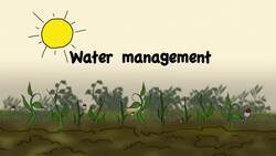 High-tech Harvest: Engineering agriculture's future Instructional Video