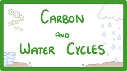GCSE Biology - What is the Carbon Cycle? What is the Water Cycle? Cycles Explained #88 Instructional Video