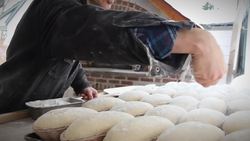 The History and Recipe of Bread Instructional Video