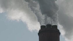 Beyond Plastic| Strategies to fight Global Pollution Instructional Video