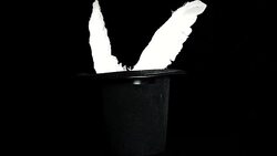 Sacrament of birth Stock Footage