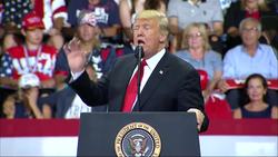 Trump campaigns on ending birthright citizenship News Clip