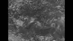 Korean War: soldier sleeping News Clip