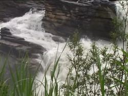 Exploring Marine Biomes: Ocean Characteristics Instructional Video