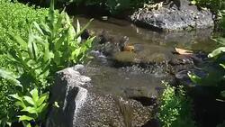 Water flowing in brook in slow motion 180fps Stock Footage