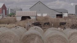 John Deere Is Facing a Farmer Revolt News Clip