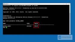 Oracle Database Administration from Zero to Hero - Practice - Using Database Links Instructional Video