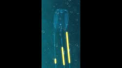 Scientists discover creepy creature with 24 eyes for in pond Instructional Video