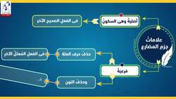 قاعدة أسلوب الشرط Instructional Video