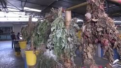 CLEAN : Ill and desperate Venezuela's sick turn to alternative medicine News Clip