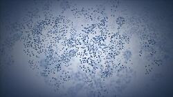 Freezing Instructional Video