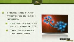 005 The Isoelectric Point of Proteins Instructional Video